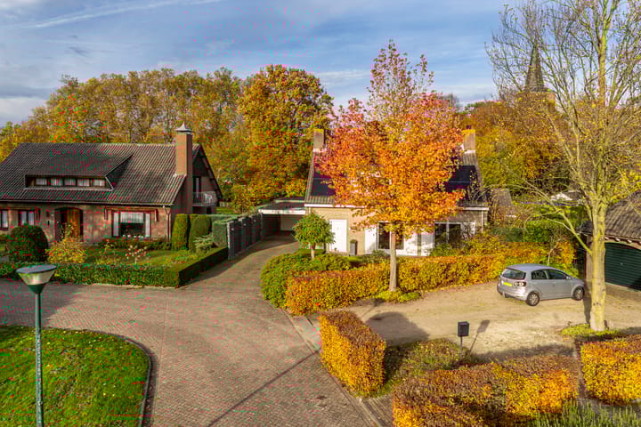 Photo 8 of Bas Dongen 7