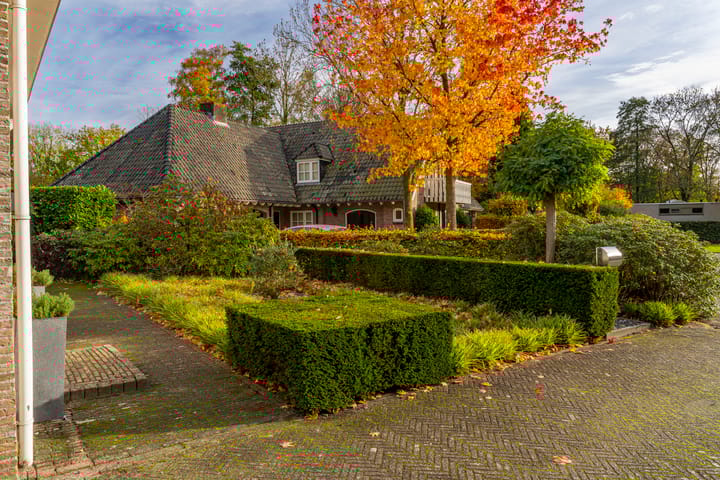 Photo 9 of Bas Dongen 7