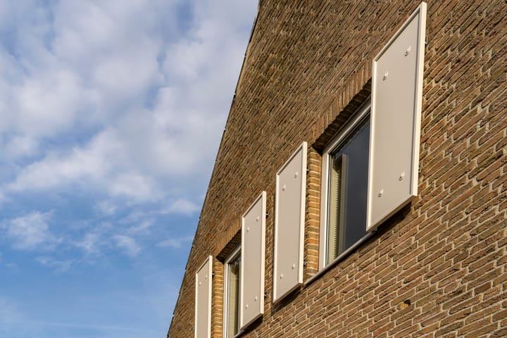 Photo 10 of Bas Dongen 7