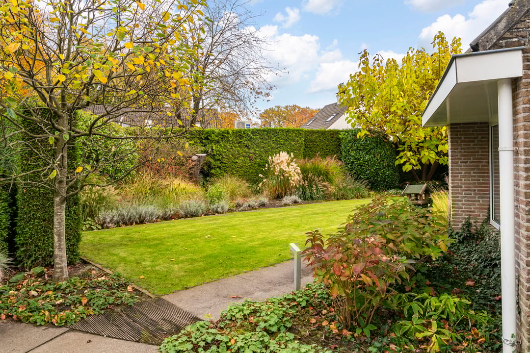 Foto 11 van Bas Dongen 7