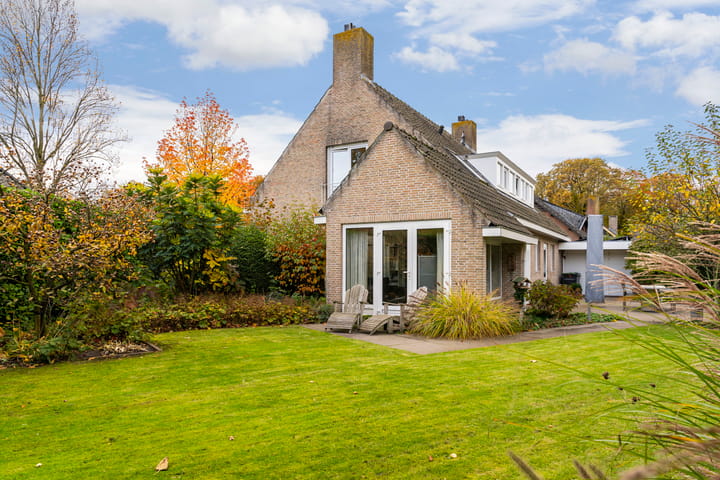 Photo 12 of Bas Dongen 7