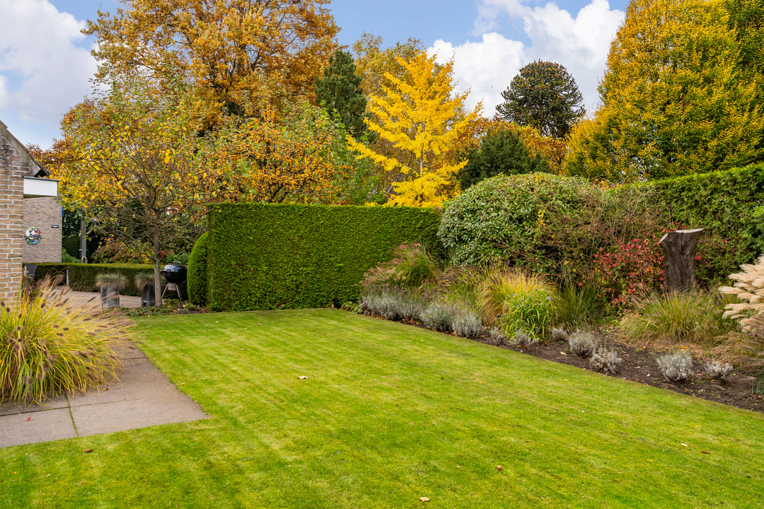 Foto 13 van Bas Dongen 7