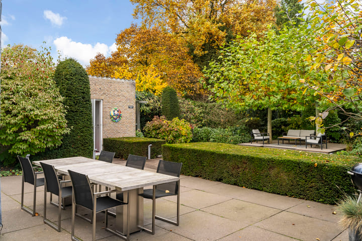 Photo 14 of Bas Dongen 7