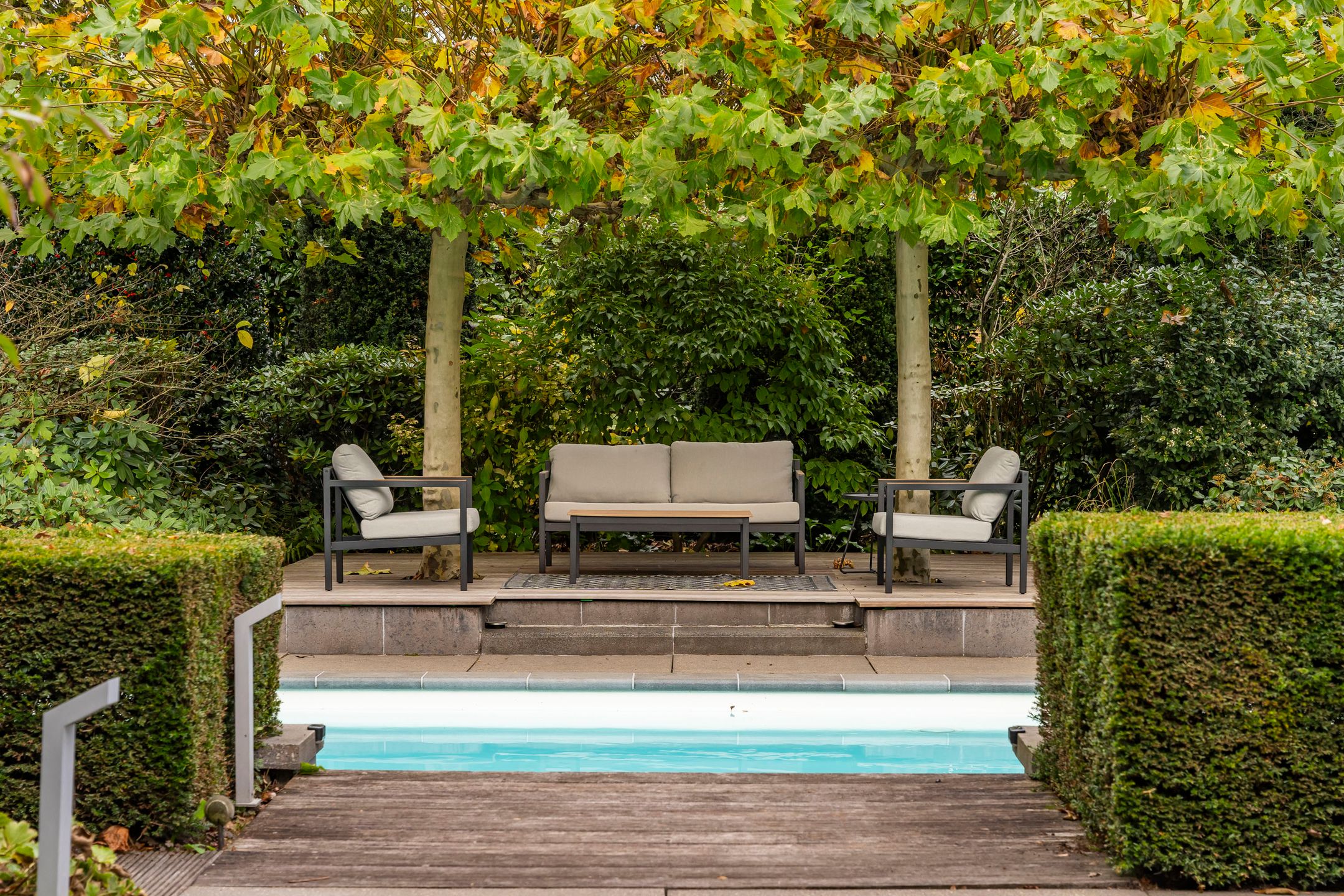 Foto 15 van Bas Dongen 7