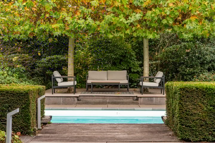 Photo 15 of Bas Dongen 7