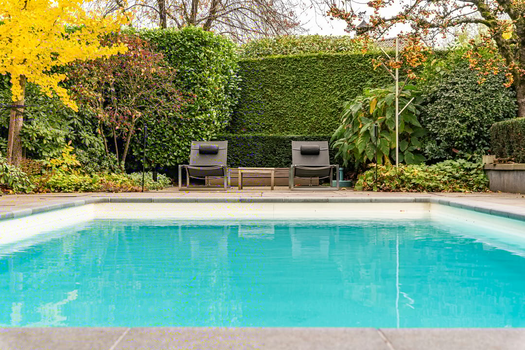 Foto 16 van Bas Dongen 7