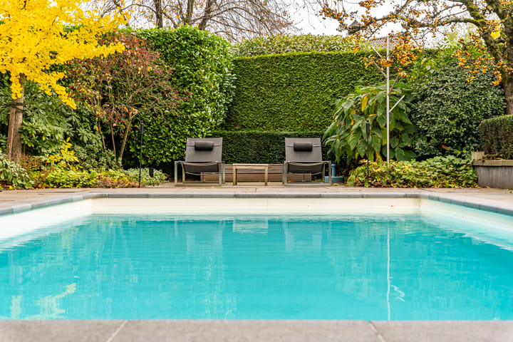 Photo 16 of Bas Dongen 7