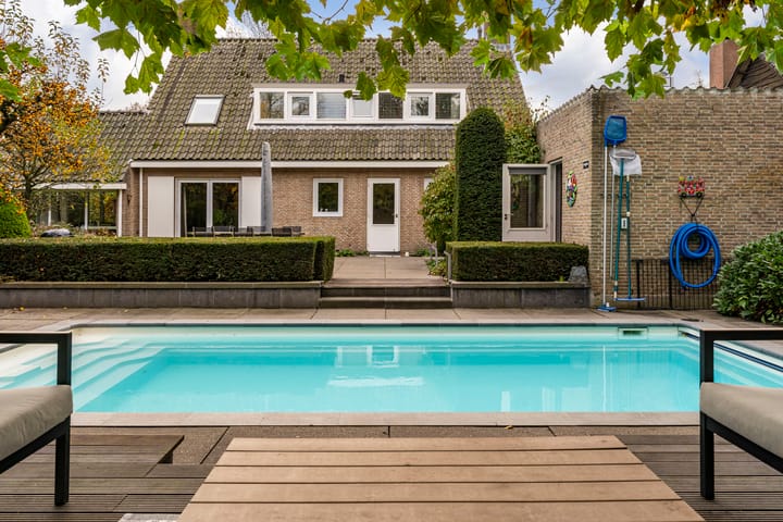 Photo 17 of Bas Dongen 7