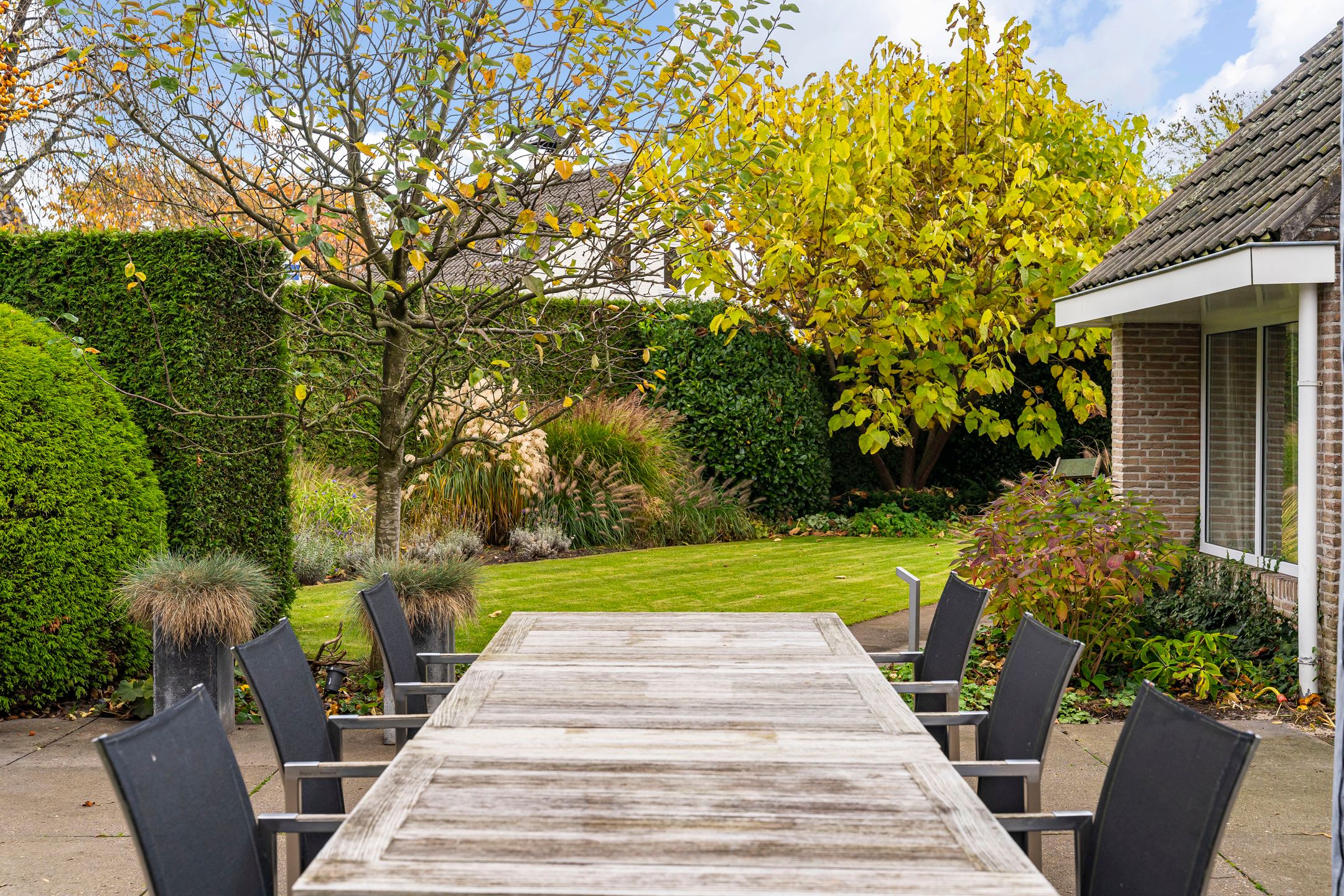 Foto 18 van Bas Dongen 7