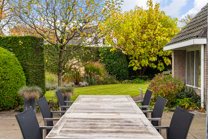 Photo 18 of Bas Dongen 7