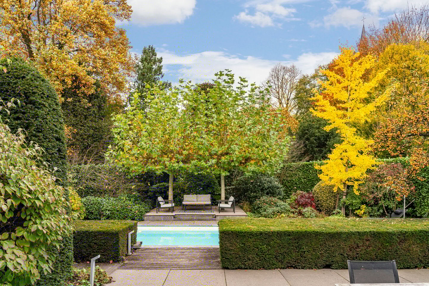 Foto 19 van Bas Dongen 7