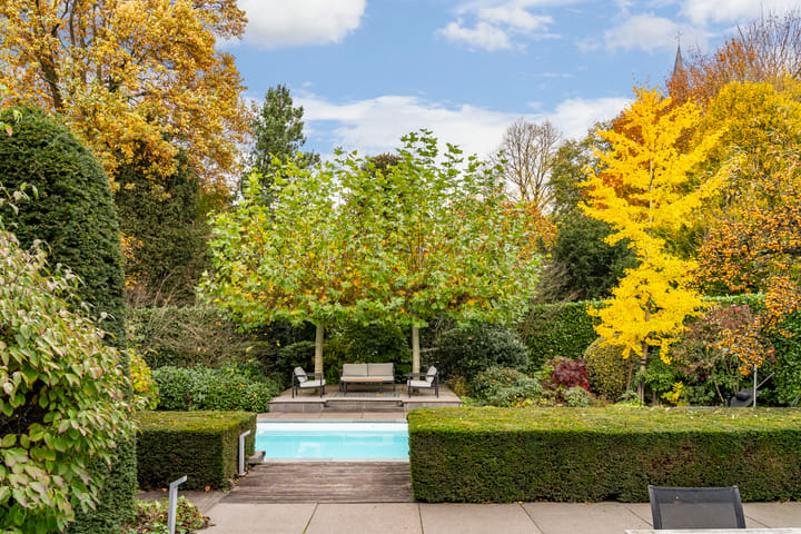 Photo 19 of Bas Dongen 7