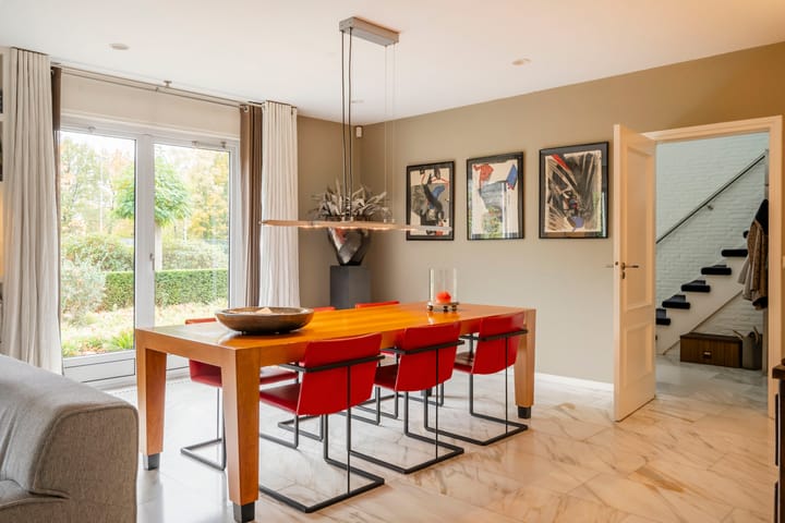 Photo 26 of Bas Dongen 7