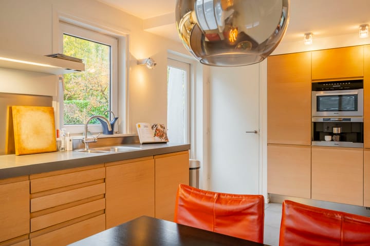 Photo 29 of Bas Dongen 7