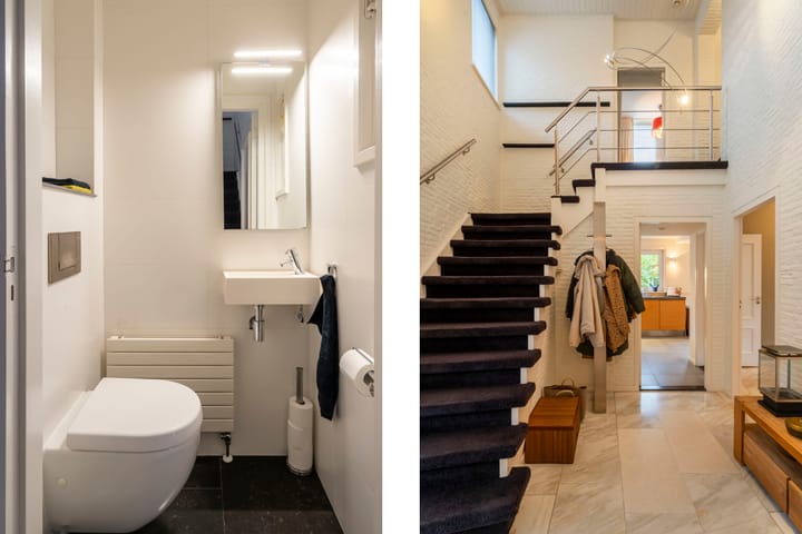 Photo 30 of Bas Dongen 7