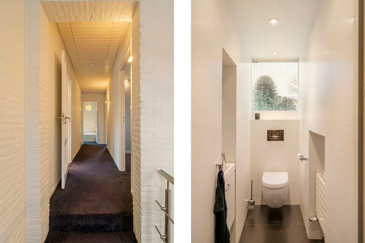 Photo 31 of Bas Dongen 7