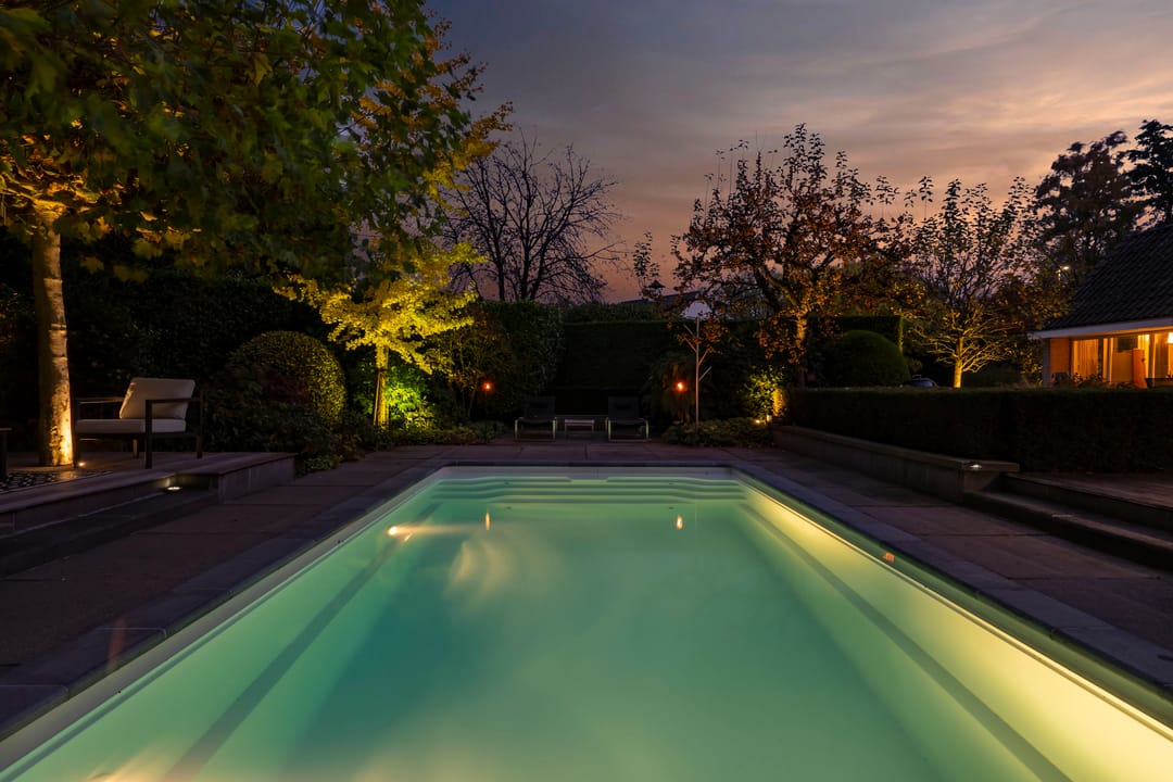 Foto 43 van Bas Dongen 7