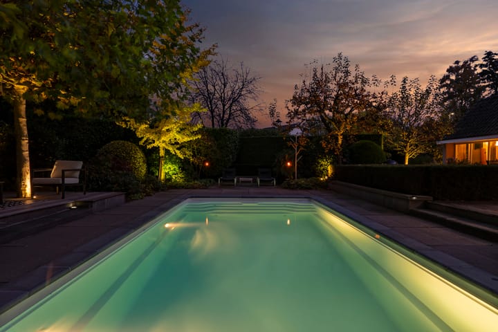 Photo 43 of Bas Dongen 7