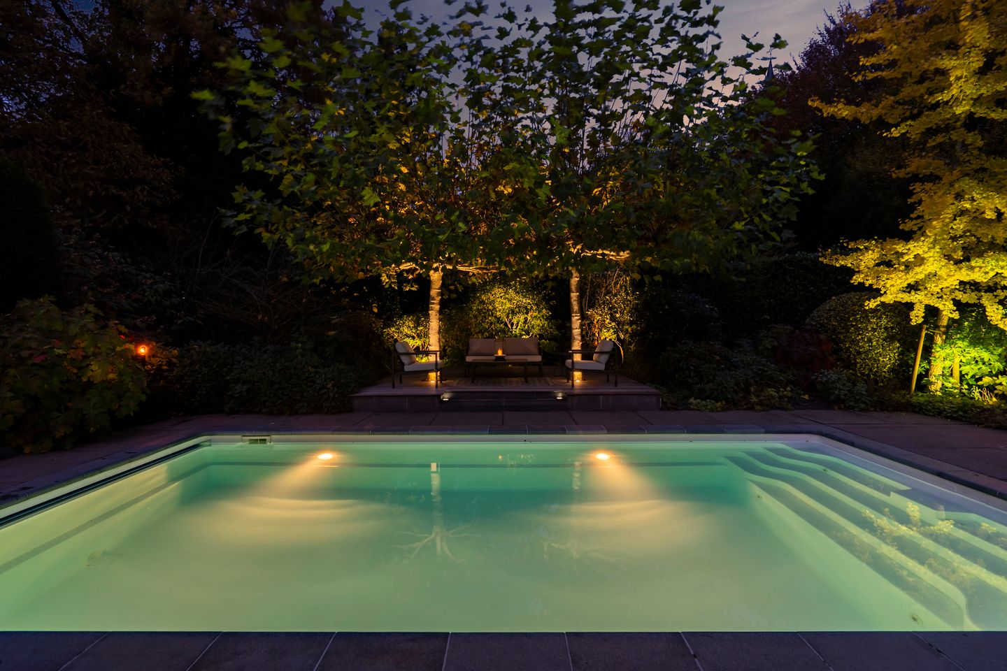 Foto 44 van Bas Dongen 7