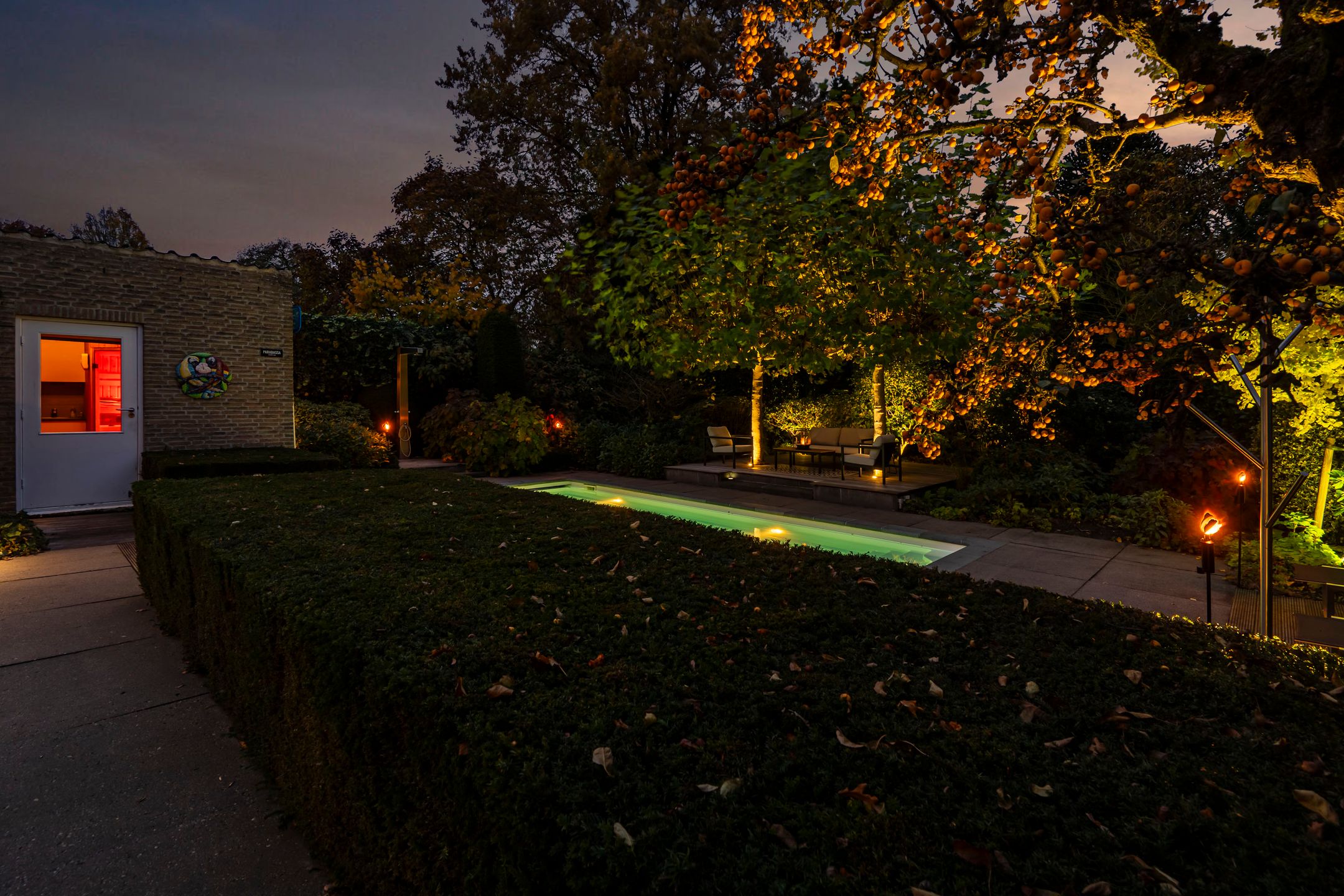 Foto 45 van Bas Dongen 7