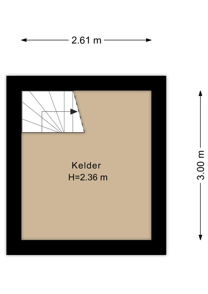 Photo 50 of Bas Dongen 7