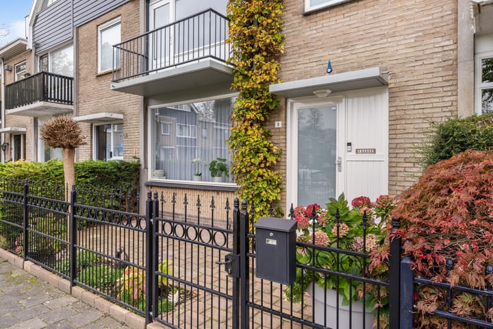 Photo 9 of Van der Duyn van Maasdamplantsoen 9