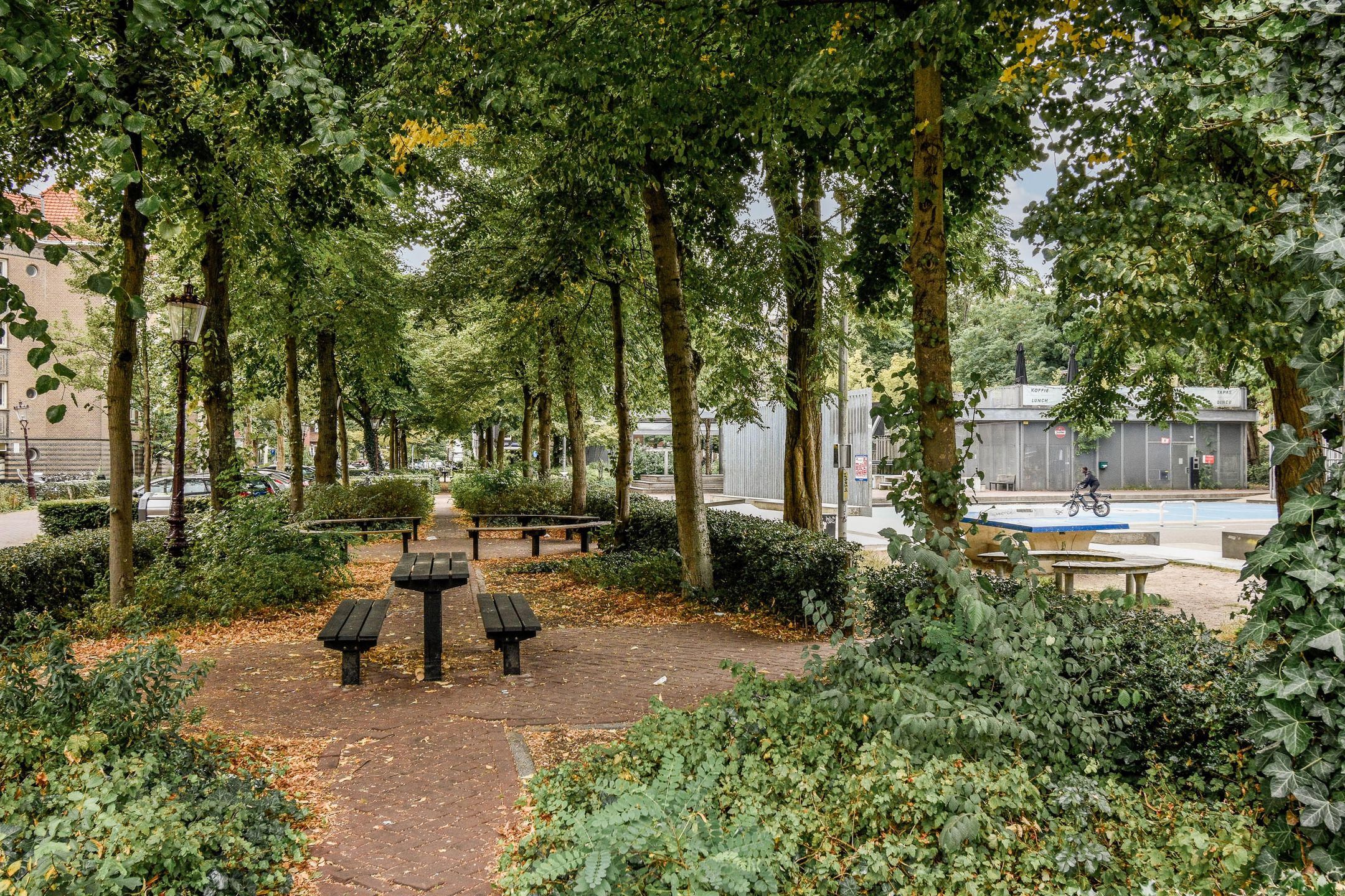 Photo 18 of Van Bossestraat 74-4