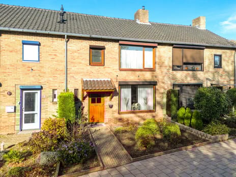 undefined main image