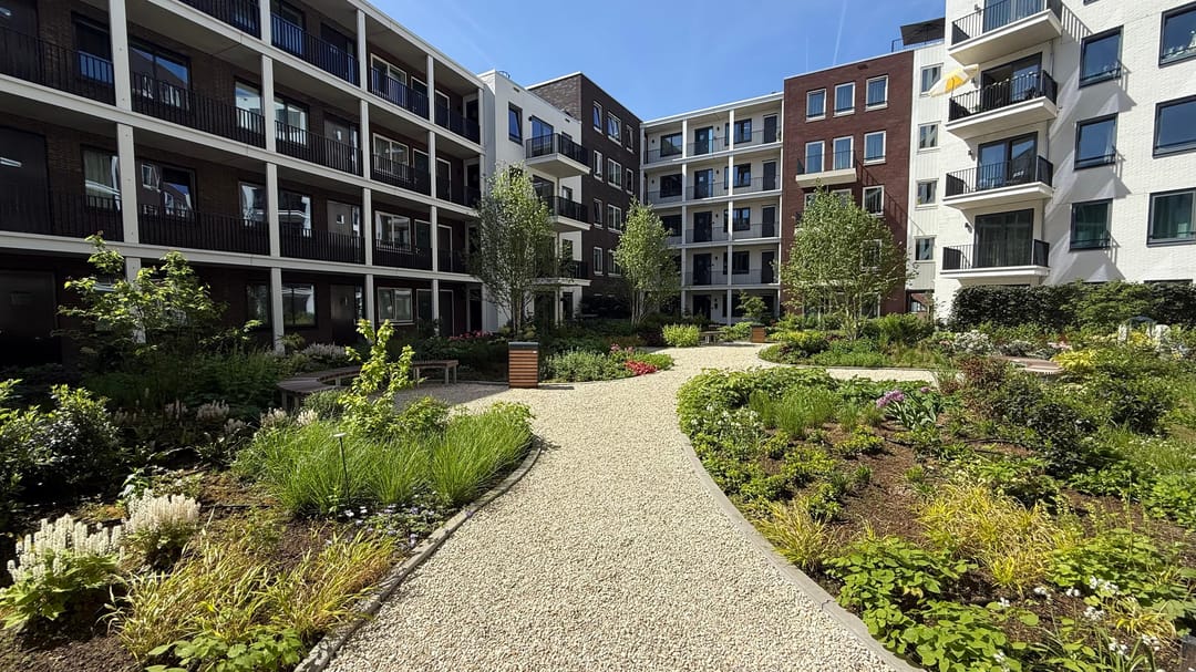 Photo 11 of Gedempte Where 59