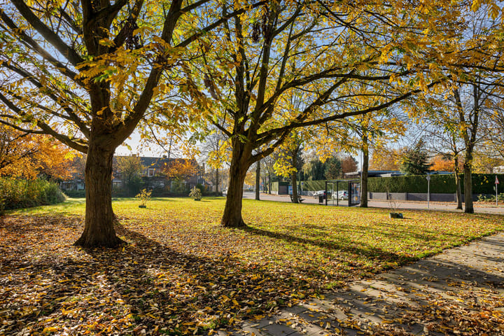 Foto 35 van Lynssenstraat 26