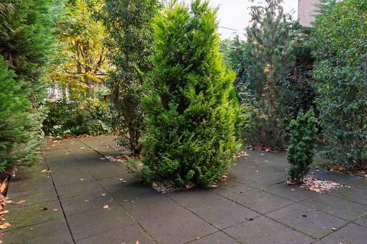 Photo 37 of Bickerstraat 18