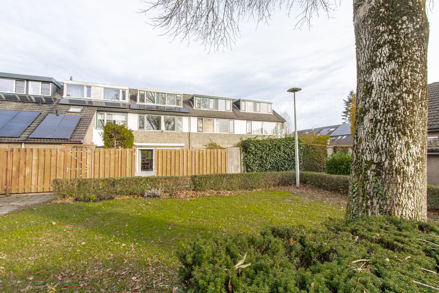 Foto 50 van Hoveniersland 22