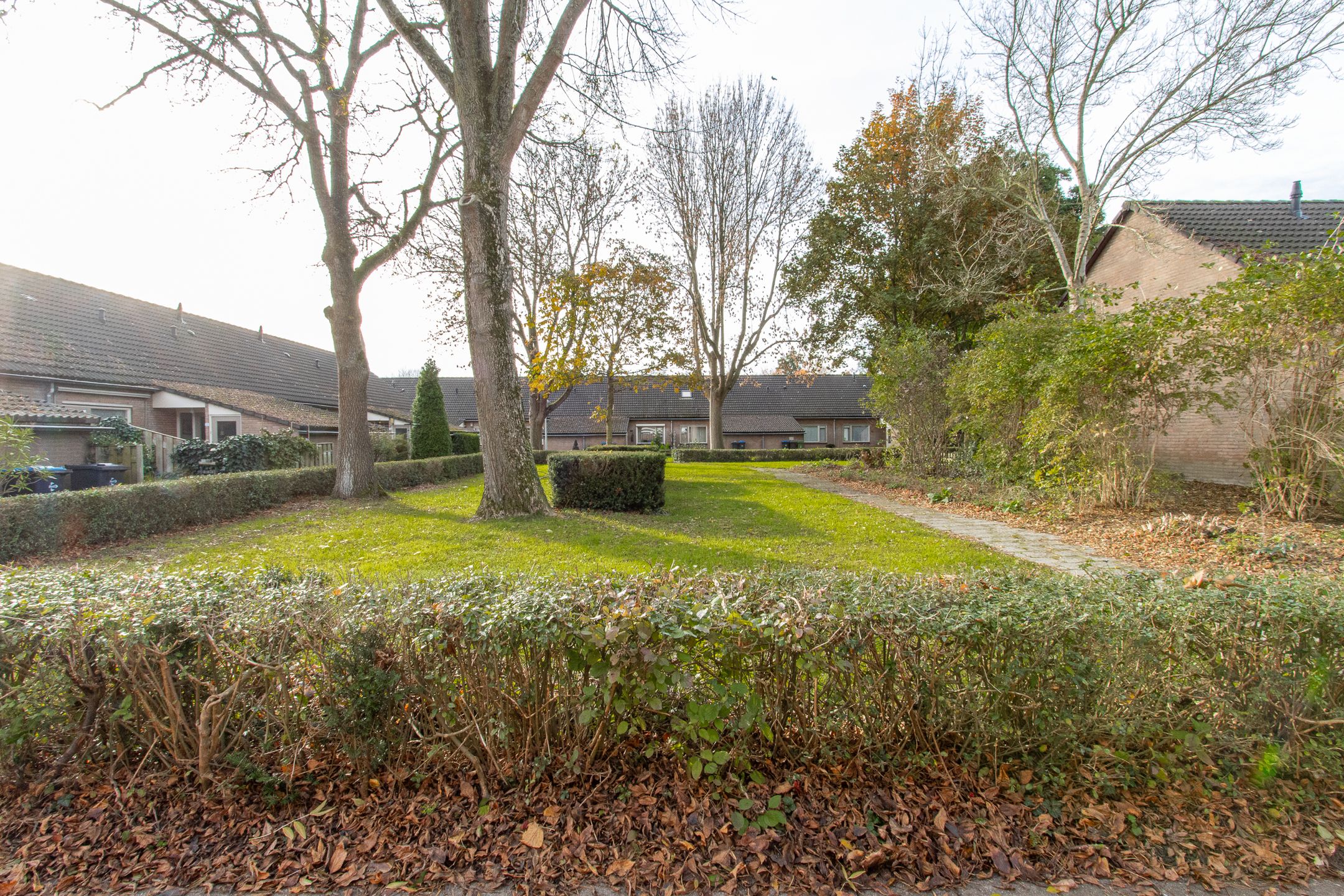 Foto 51 van Hoveniersland 22