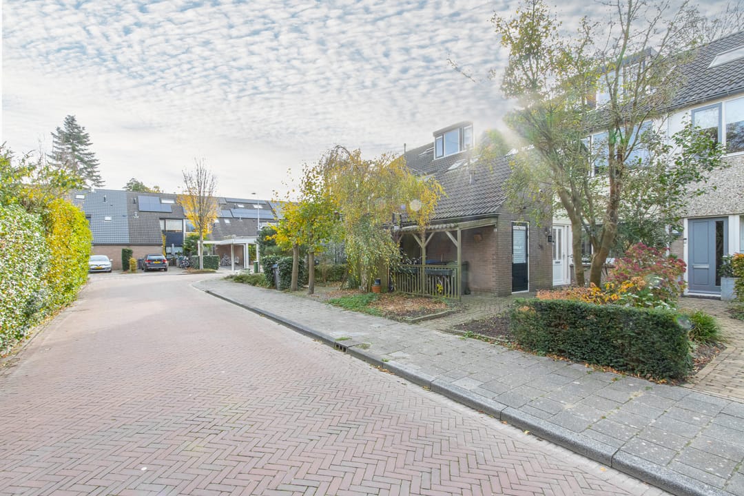 Foto 56 van Hoveniersland 22