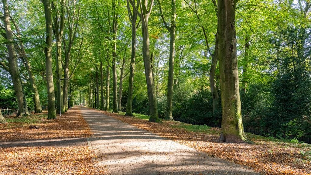 Foto 46 van Doelenstraat 30