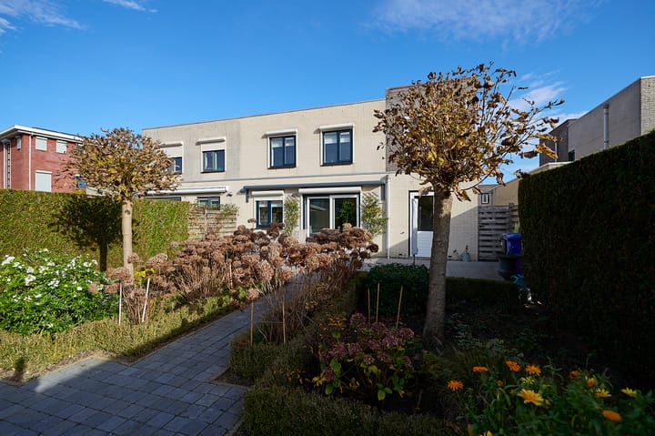 Foto 4 van Roerdomp 2