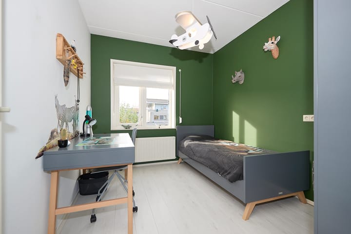 Foto 10 van Roerdomp 2