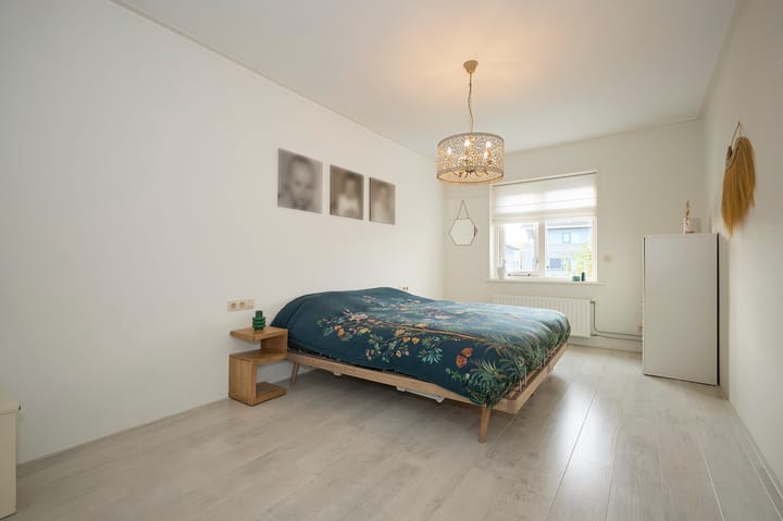 Foto 12 van Roerdomp 2