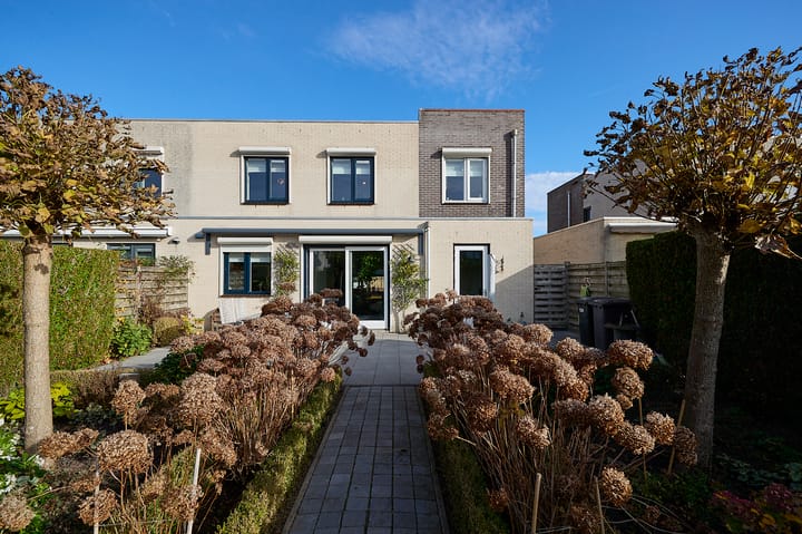 Foto 14 van Roerdomp 2