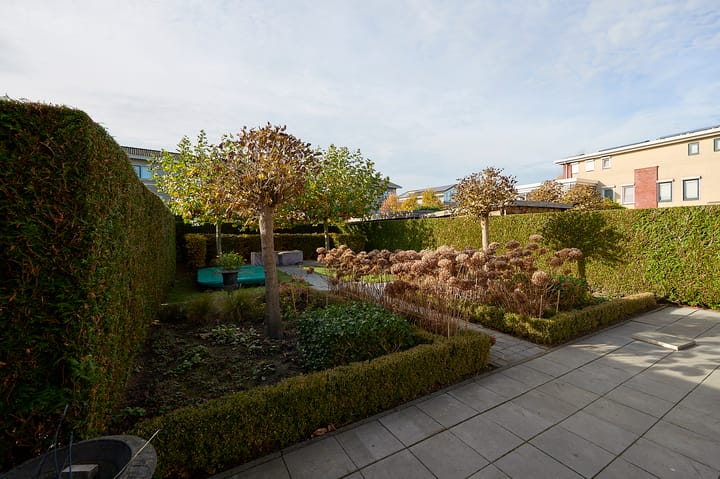 Foto 17 van Roerdomp 2