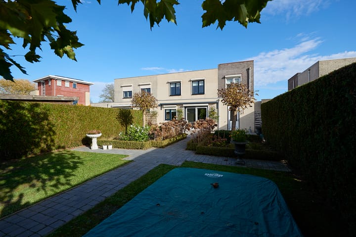 Foto 18 van Roerdomp 2