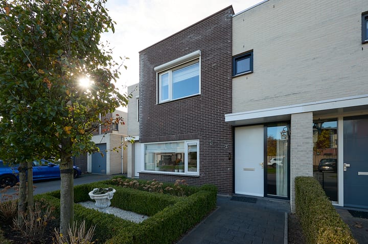 Foto 19 van Roerdomp 2