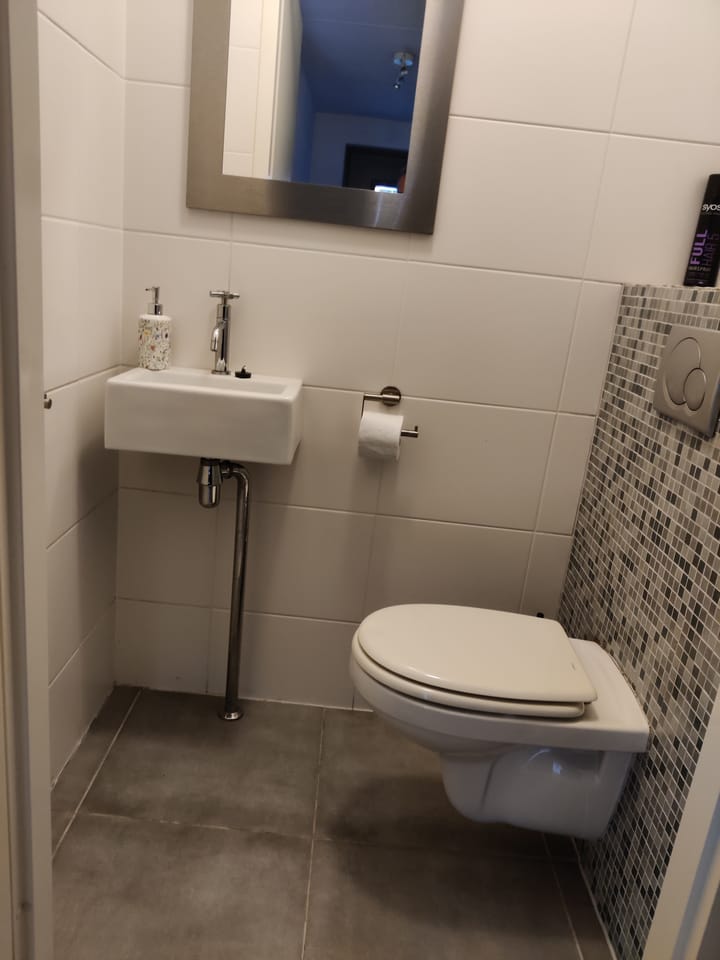 Photo 4 of Leo Fallplantsoen 42