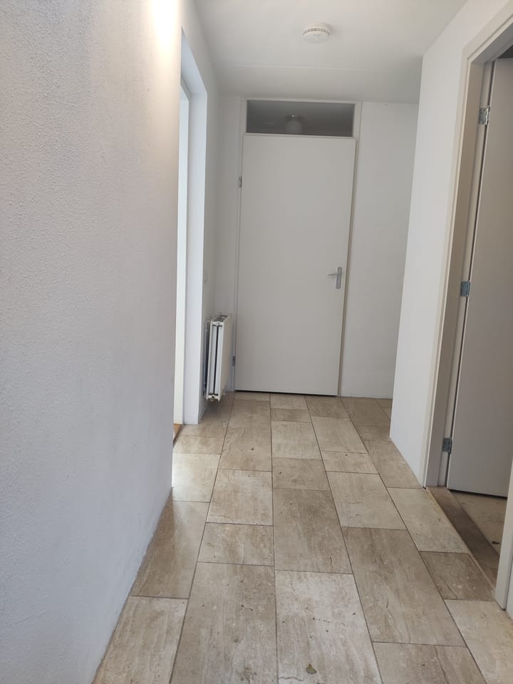 Photo 8 of Leo Fallplantsoen 42