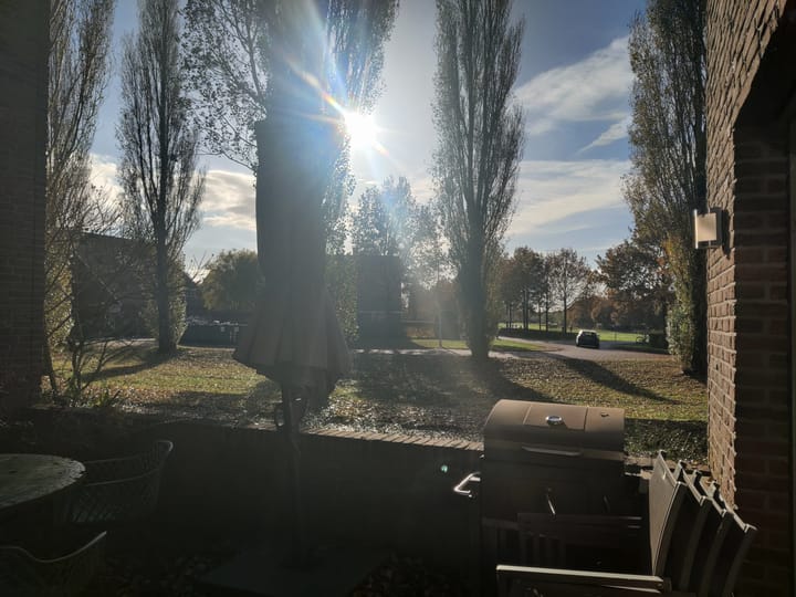 Photo 30 of Leo Fallplantsoen 42