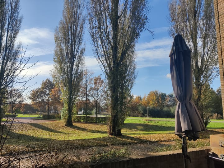 Photo 31 of Leo Fallplantsoen 42