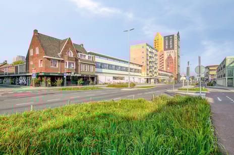 undefined main image