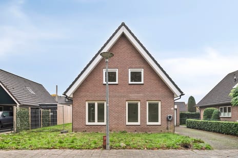 undefined main image