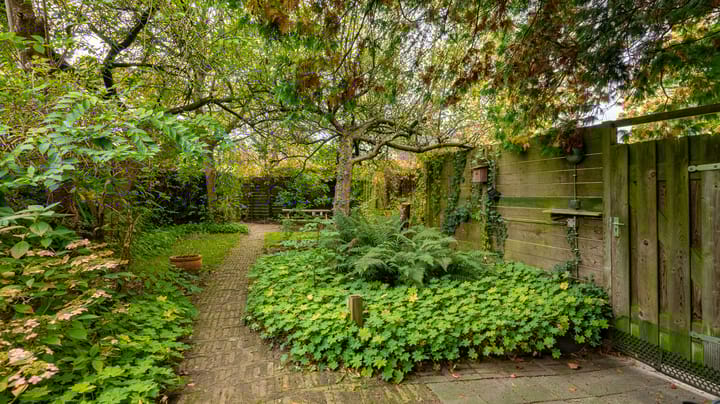 Photo 2 of Wierdensestraat 82