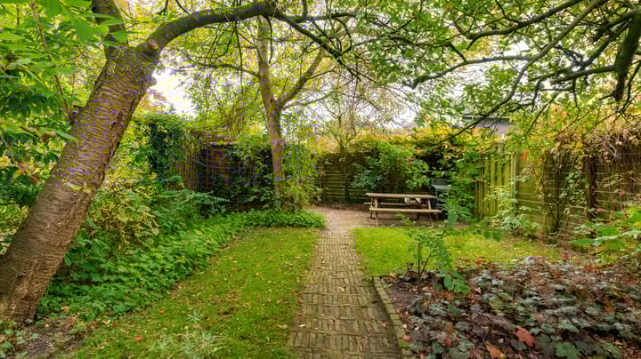 Photo 32 of Wierdensestraat 82